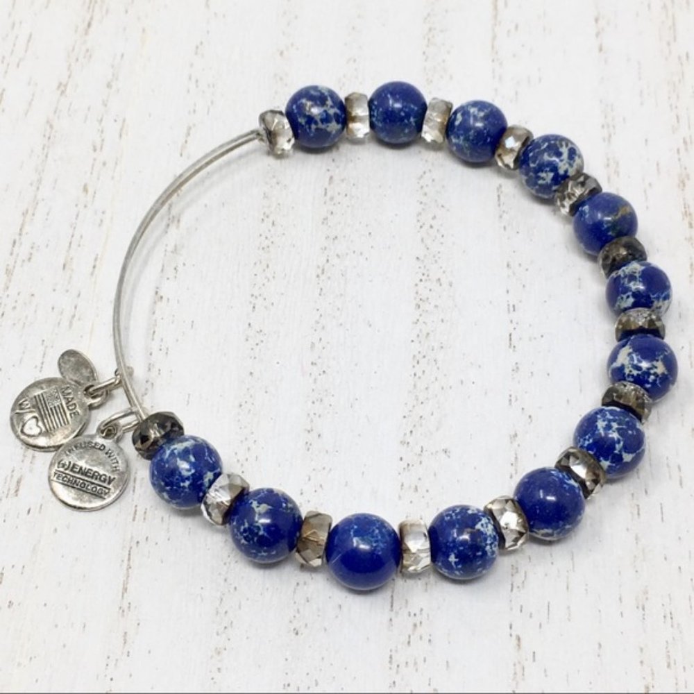 ALEX & ANI BLUE RASPBERRY WATERCOLOR SILVER FINISH CHARMS BANGLE